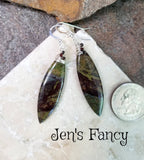 Dragon Bloodstone Earrings Sterling Silver Wire Wrapped with Tiger Iron